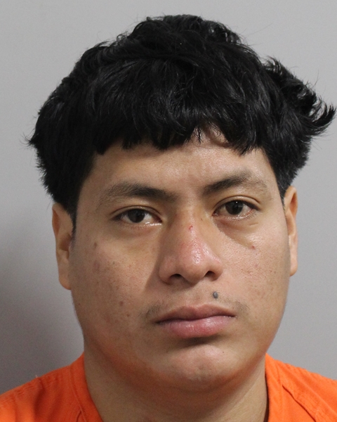 Gudiel Miguel-Vasquez
