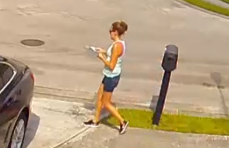 mail thief