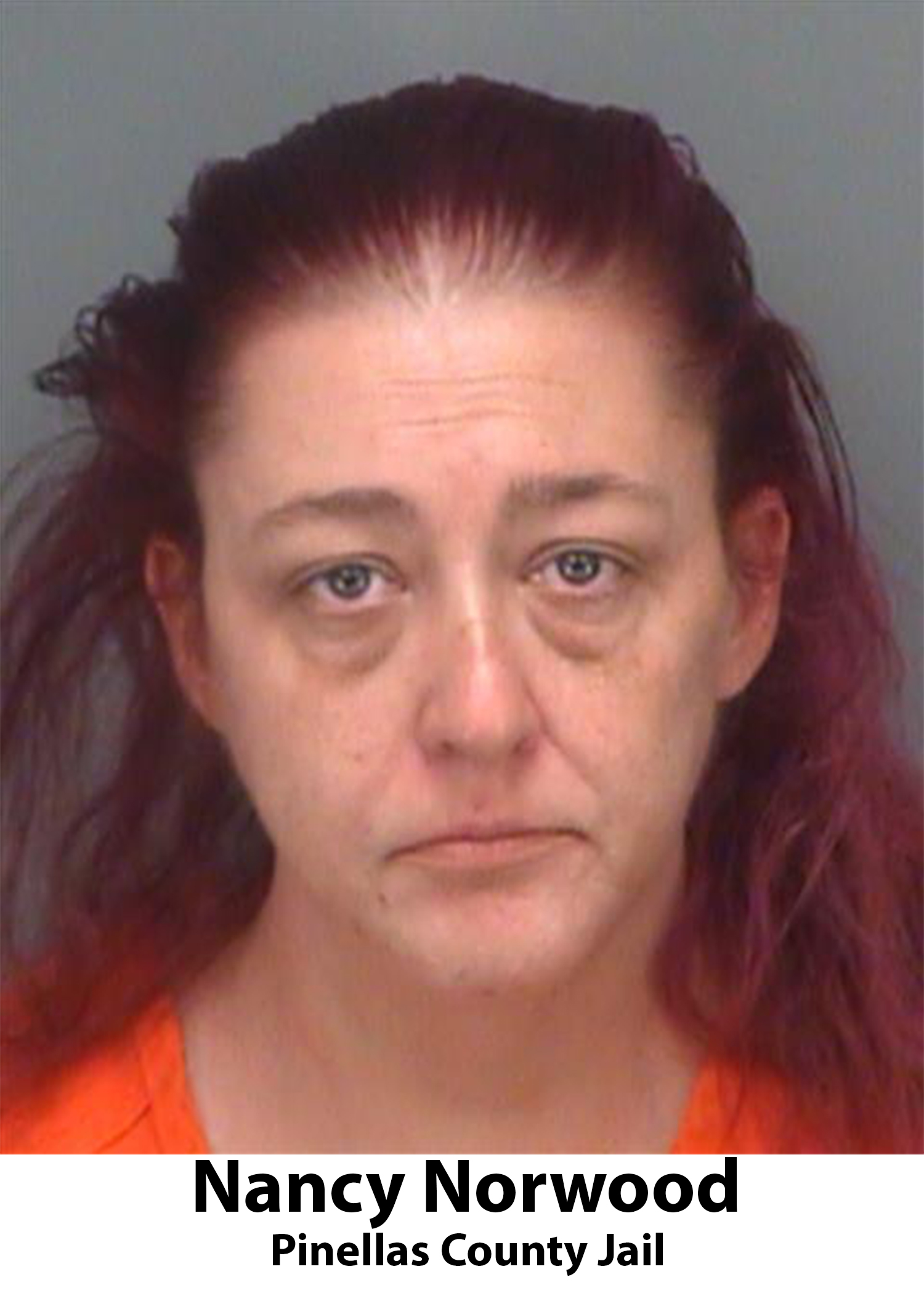 Nancy Norwood Pinellas County Jail