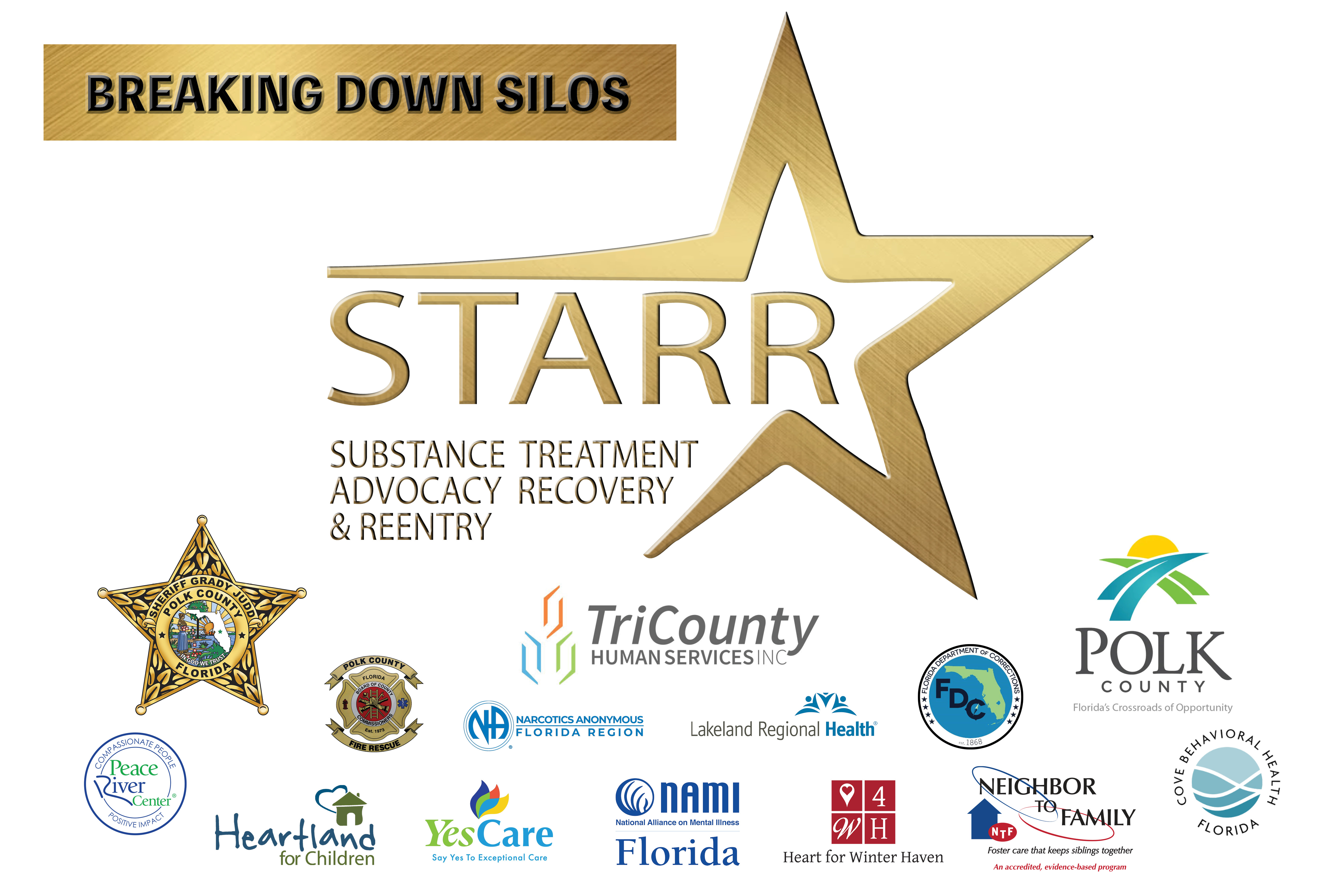 STARR program graphic